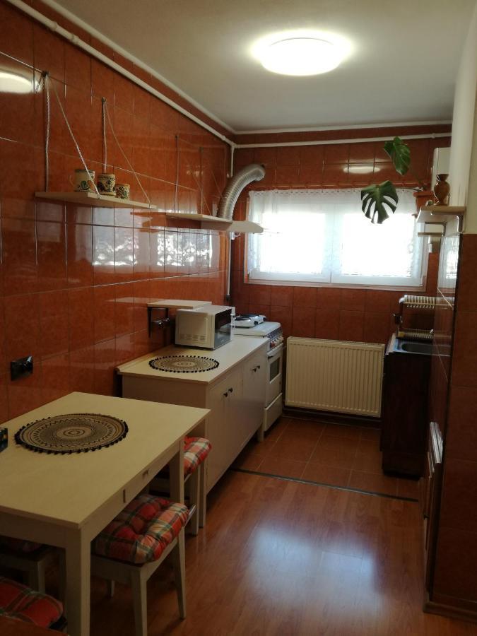 Sara Apartman Târgu-Mureş المظهر الخارجي الصورة