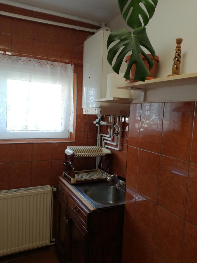 Sara Apartman Târgu-Mureş المظهر الخارجي الصورة