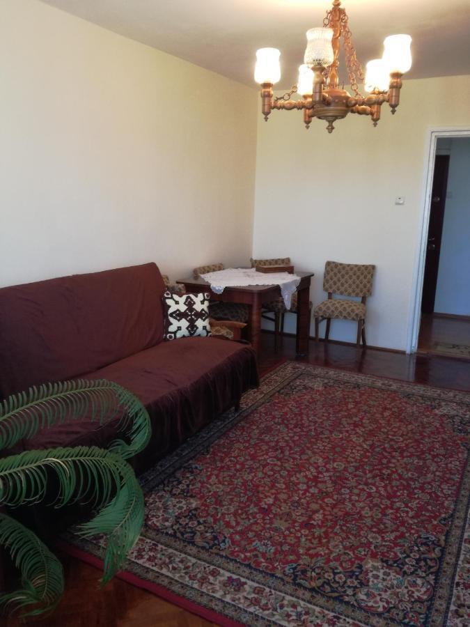 Sara Apartman Târgu-Mureş المظهر الخارجي الصورة